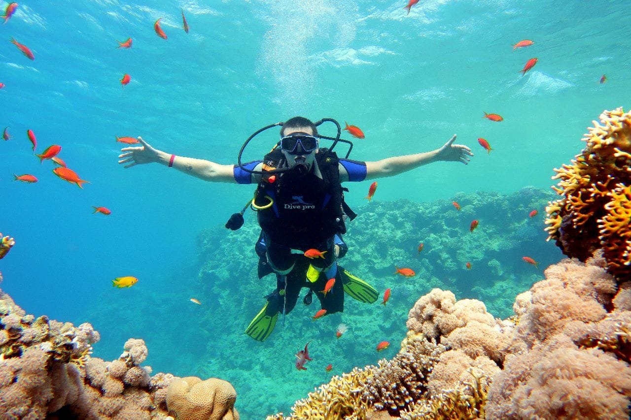 2cc0a6a9-f8e2-4eda-b8f5-cad44fdef8d0