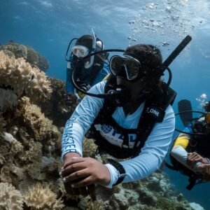 PADI Open Water Course