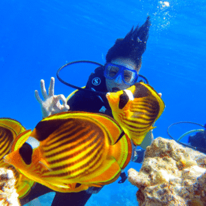 Double Introductory Dive on the Beach (30 minutes)
