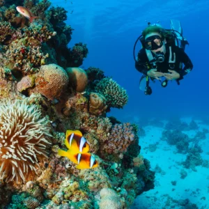 1 Day Diving (2 Dives) on the Boat