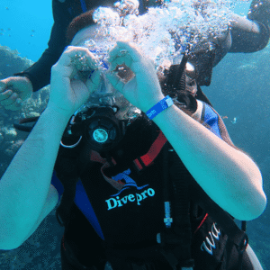 Daily Diving