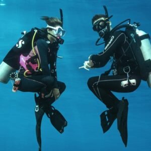 Check Dive