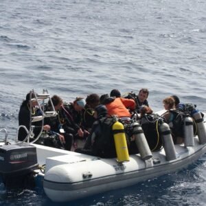 Private Speed Boat Diving