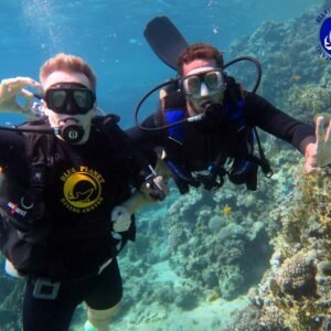 Introductory Dive on the Beach (15 minutes)