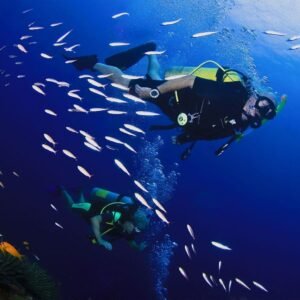 1 Day Diving (2 Dives) on the Beach