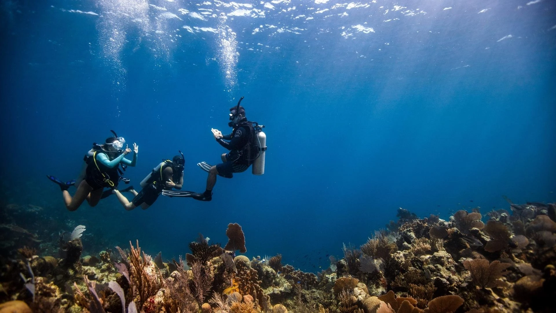 discover scuba diving 3 1.webp
