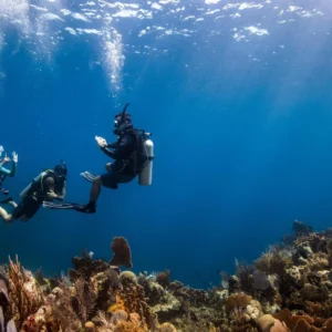 Diving Courses Advanced